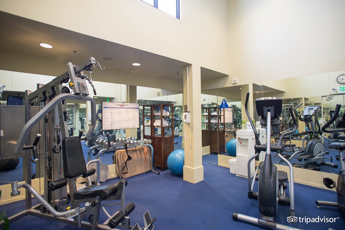 fitness-center-v5877960.jpg